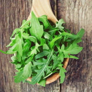 BIO Rukola - Certyfikowane nasiona ekologiczne