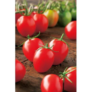 Pomidor Principe Borghese - gruntowy, typu cherry