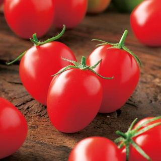 Pomidor Principe Borghese - gruntowy, typu cherry