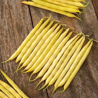 Fasola Ramdor - szparagowa, żółta, tyczna