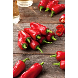 Papryka Jalapeno - bardzo ostra, czerwona