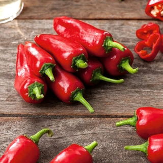 Papryka Jalapeno - bardzo ostra, czerwona