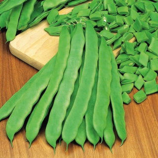 Fasola Dakota - szparagowa zielona