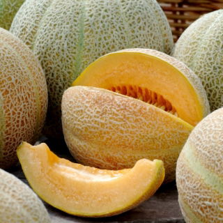Melon Ananas