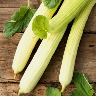 Ogórek Fegouz - melonowy, jasnozielony
