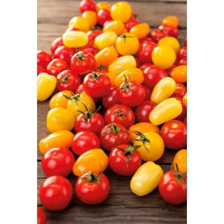 Pomidorki cherry - mieszanka kolorów!