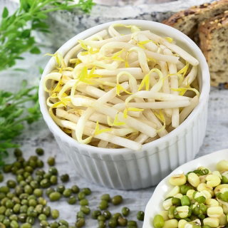 BIO Nasiona na kiełki - Fasola Mung - certyfikowane nasiona ekologiczne