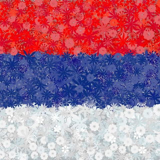 Serbska flaga - zestaw 3 odmian nasion kwiatów