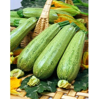 Cukinia Nimba - 100 gram