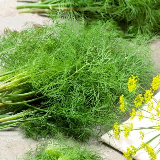 Koper ogrodowy Moravan - 100 gram