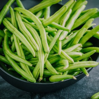 Fasola Nomad - szparagowa, późna, odporna na choroby