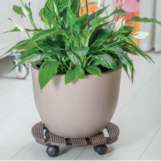 Podstawka na kółkach do przenoszenia dużych donic - okrągła - 30 cm - brąz