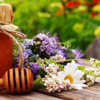 Mieszanka roślin miododajnych dzikich - 250 gram