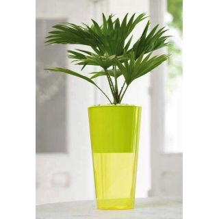 Osłonka wysoka Vulcano Tube - 20 cm - żółta transparentna