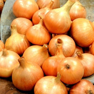 Cebula Algida - 100 gram
