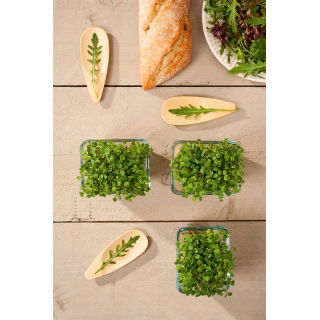 Microgreens - Rukola jednoroczna - młode listki o unikalnym smaku - 1 kg