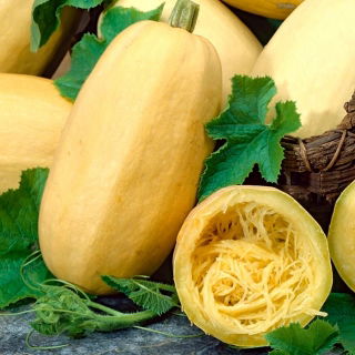 Dynia makaronowa Vegetable Spaghetti