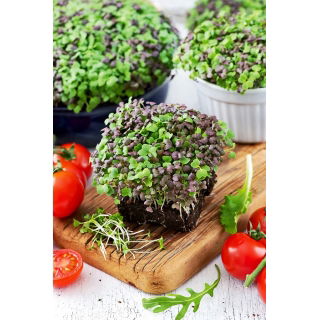 Microgreens - Mizuna mix - młode listki o unikalnym smaku