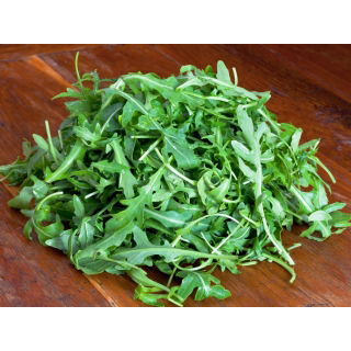 Rukola - Eruca Sativa - NA TAŚMIE