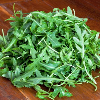 Rukola - Eruca Sativa - NA TAŚMIE