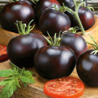 Pomidor Blackball - gruntowy