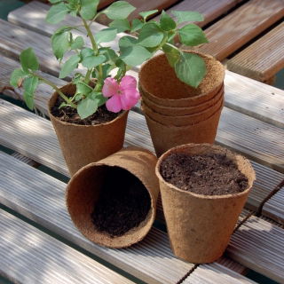 Doniczki torfowe okrągłe 8 cm śr. - 2800 sztuk