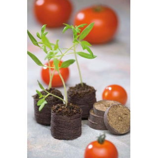 Pęczniejące krążki torfowe 27 mm - 5004 szt.