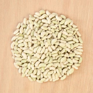 Fasola Cannellino - na suche nasiona, karłowa, odmiana włoska