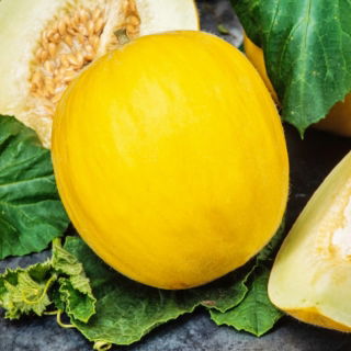 Melon Yellow Canary 2 - wczesny, żółty, owalny, bardzo słodki i aromatyczny