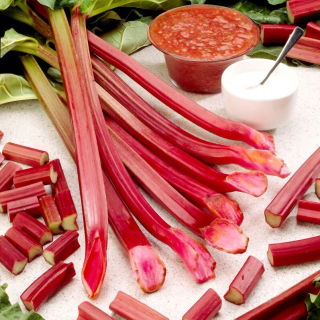 Rabarbar Raspberry Red - malinowy - sadzonka - duża paczka! - 10 szt.
