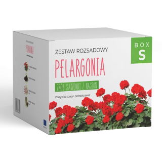 Zestaw rozsadowy 'Pelargonia' - zrób sadzonki z nasion - Box S