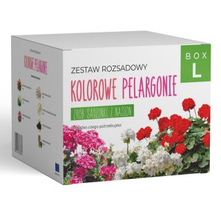 Zestaw rozsadowy 'Kolorowe pelargonie' - zrób sadzonki z nasion - Box L