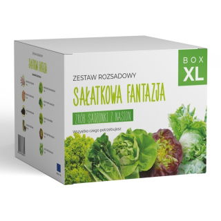 Zestaw rozsadowy 'Sałatkowa fantazja' - zrób sadzonki z nasion - Box XL