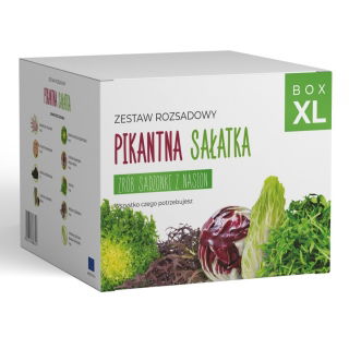 Zestaw rozsadowy 'Pikantna sałatka' - zrób sadzonki z nasion - Box XL