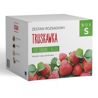 Zestaw rozsadowy 'Truskawka' - zrób sadzonki z nasion - Box S