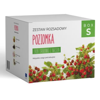 Zestaw rozsadowy 'Poziomka' - zrób sadzonki z nasion - Box S