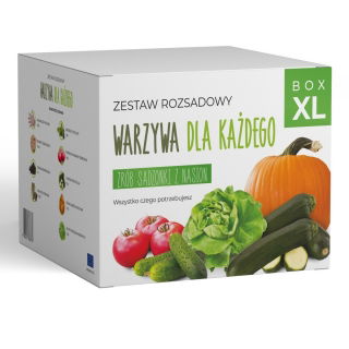 Zestaw rozsadowy 'Warzywa dla każdego' - zrób sadzonki z nasion - Box XL