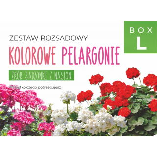 Zestaw rozsadowy 'Kolorowe pelargonie' - zrób sadzonki z nasion - Box L
