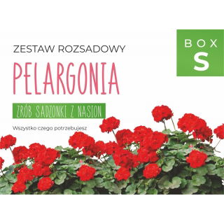 Zestaw rozsadowy 'Pelargonia' - zrób sadzonki z nasion - Box S