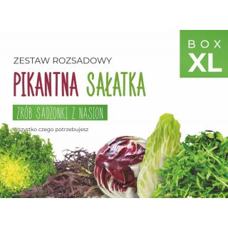 Zestaw rozsadowy 'Pikantna sałatka' - zrób sadzonki z nasion - Box XL