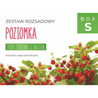 Zestaw rozsadowy 'Poziomka' - zrób sadzonki z nasion - Box S