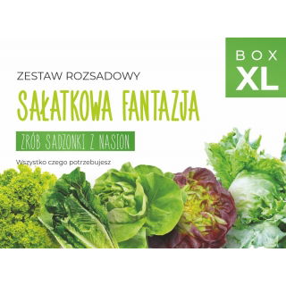 Zestaw rozsadowy 'Sałatkowa fantazja' - zrób sadzonki z nasion - Box XL