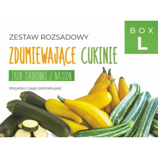 Zestaw rozsadowy 'Zdumiewające cukinie' - zrób sadzonki z nasion - Box L