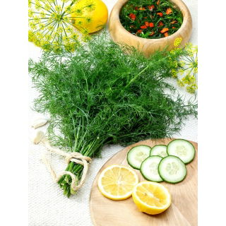Koper ogrodowy Kozak - bardzo aromatyczny