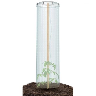 Osłona na pomidory - parasol / czapka na krzewy pomidorów - śr. 40 cm