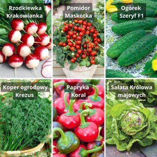 Warzywa na balkon - zestaw 6 odmian nasion