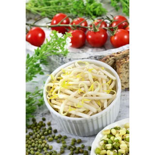 Nasiona na kiełki - Fasola Mung - 250 gram