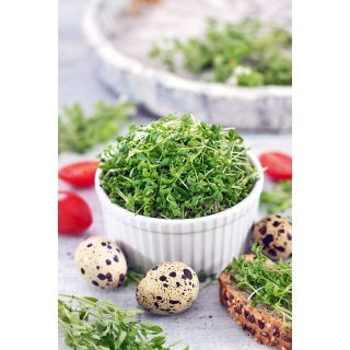 Nasiona na kiełki - Rzeżucha - 500 gram