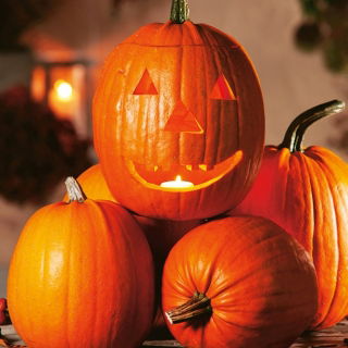 Dynia ozdobna Jack O'Lantern - jadalna