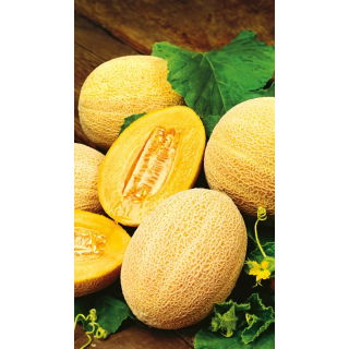 Melon Hale's Best Jumbo